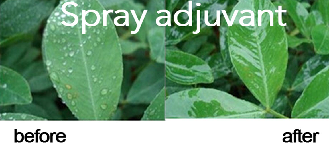 Spray adjuvant.jpg